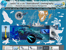 Tablet Screenshot of cfoo.co.za